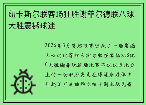 纽卡斯尔联客场狂胜谢菲尔德联八球大胜震撼球迷